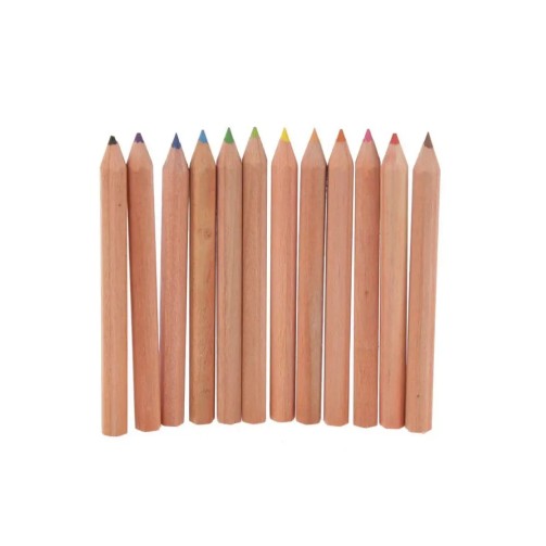Chat - Pot à crayons de couleur