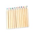 Wild Animals - Colored Pencil Holder