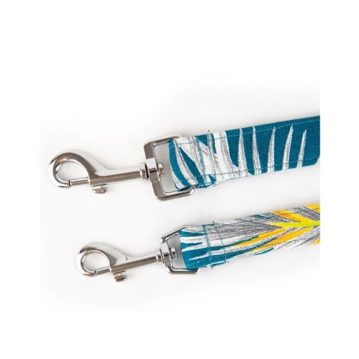 Leash Kabira