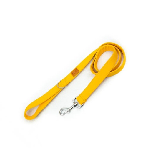 Solare leash