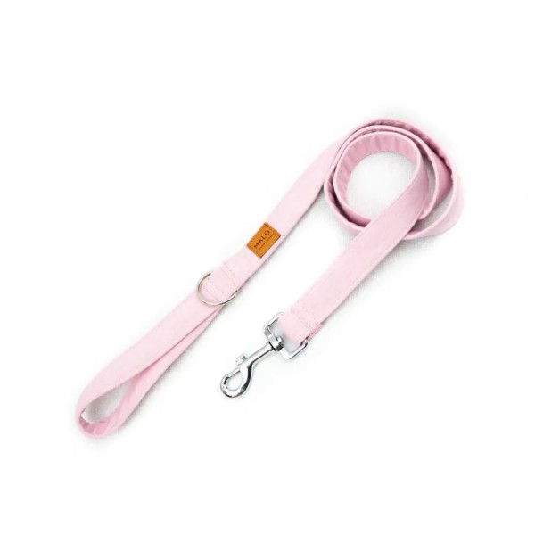 Leash Nammi