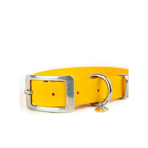 Collier imperméable Sunny