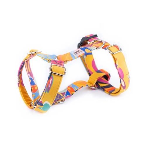 Colibri Harness – Buy at Gecodart