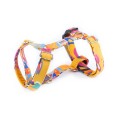 Colibri Harness Colibri Harness