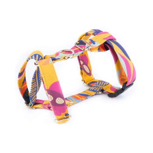 Colibri Harness