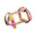 Colibri Harness Colibri Harness