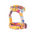 Colibri Harness Colibri Harness