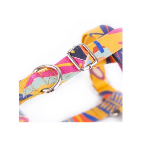 Colibri Harness – Buy at Gecodart