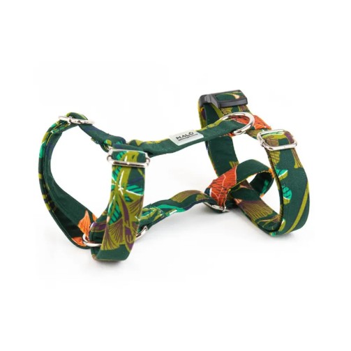 Arashi harness – Buy at Gecodart