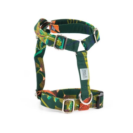 Arashi harness – Buy at Gecodart