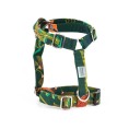 Arashi Harness Arashi Harness