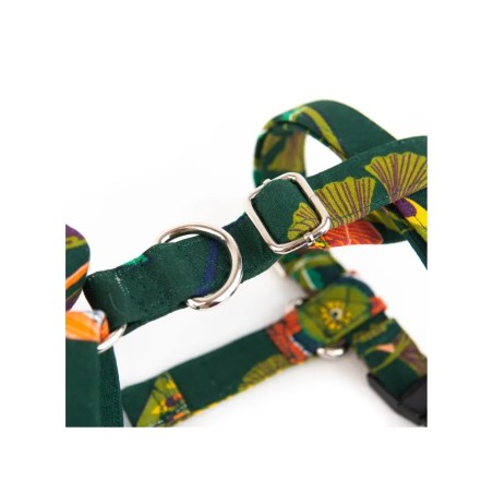 Arashi harness – Buy at Gecodart