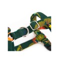 Arashi Harness Arashi Harness