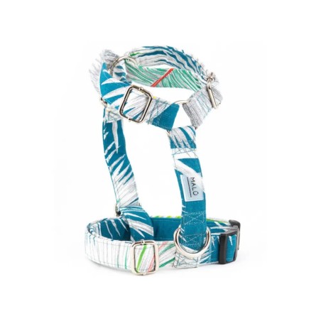 Kabira harness – Buy at Gecodart