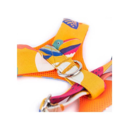 Harnais confort Colibri – Acheter chez Gecodart