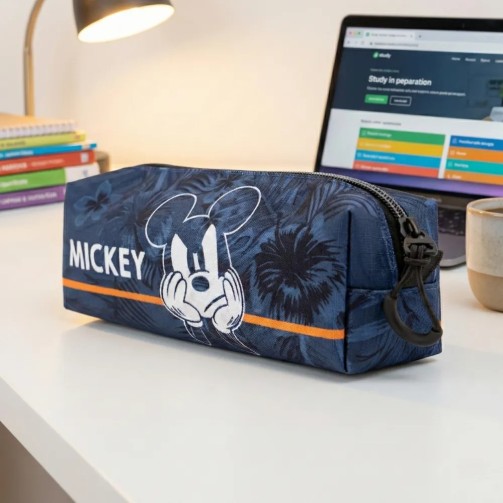 Mickey Mouse school bag