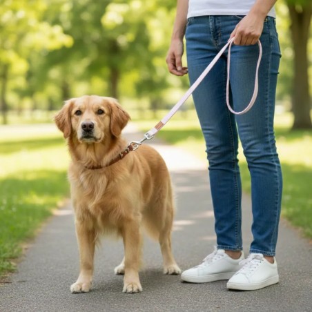 Guinzaglio per cani Solare – Acquista su Gecodart