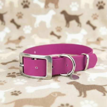 Collare impermeabile lilla – Acquista su Gecodart