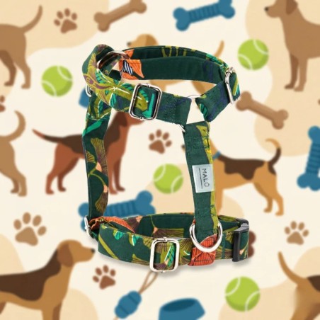 Arashi harness – Buy at Gecodart