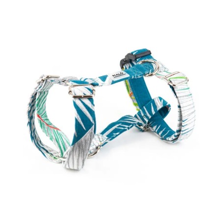 Kabira harness – Buy at Gecodart