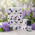 Violet - Aromatic oil 6x