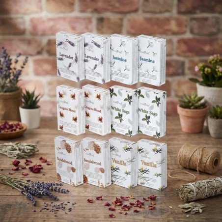 Assortimento di coni di incenso a riflusso - Gecodart