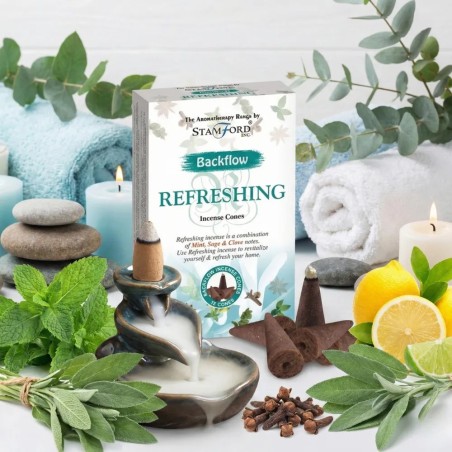 Backflow incense cones - Refreshing - Gecodart