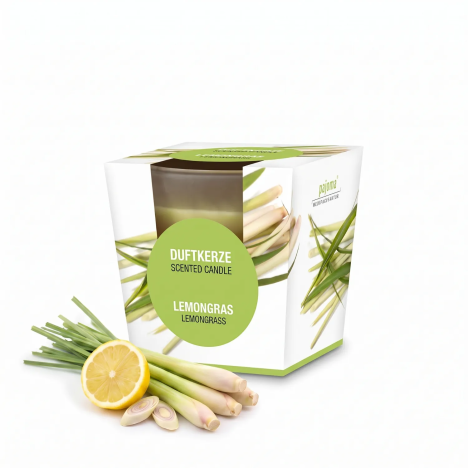 Citronella Duftkerze im satinierten Glas | Gecodart