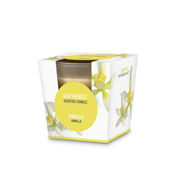 Bougie parfumée à la Vanille en Verre Satiné | Gecodart