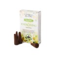 Energizing - Backflow Incense Cones Energizing - Backflow Incense Cones