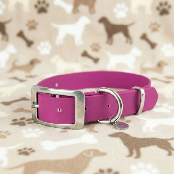 Collare per Cani Impermeabile Lilac di Alta Qualità | Gecodart