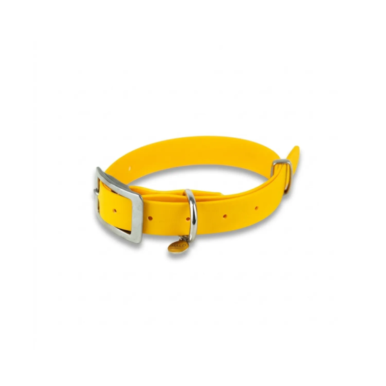 Highly Durable Sunny Waterproof Dog Collar | Gecodart