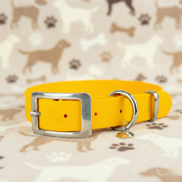 Collare per Cani Impermeabile Sunny Molto Resistente | Gecodart