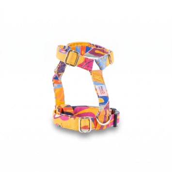 Colibri Dog Harness with Double Clip | Gecodart