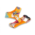 Breathable and No-Pull Colibri Comfort Dog Harness Breathable and No-Pull Colibri Comfort Dog Harness