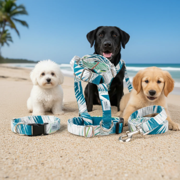 Very Strong Original Nylon Dog Leash | Gecodart