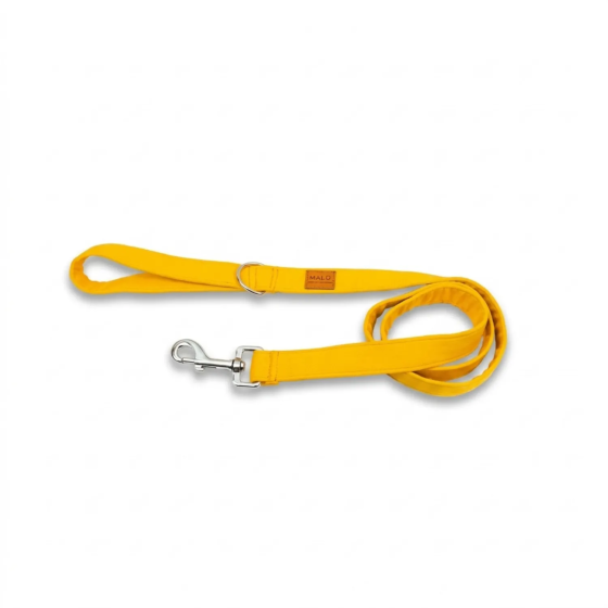 Guinzaglio Confortevole per Cani Solare Nylon Robusto | Gecodart