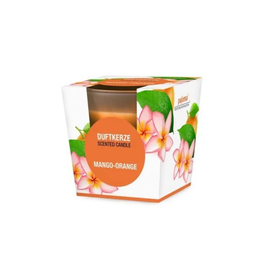 Scented Candle in Glass - Mango-Orange