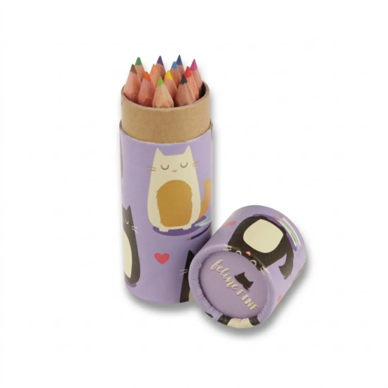 Stiftehalter Katzenmotiv und 12 Buntstifte inklusive | GECODART